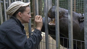 Une saison au zoo 2. évad Ep.27 27. epizód