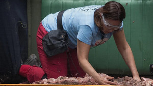 I'm a Celebrity...Get Me Out of Here! 17. évad Ep.5 5. epizód