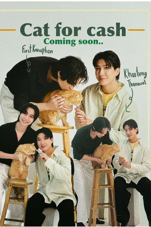 เปย์รักด้วยแมวเลี้ยง poszter