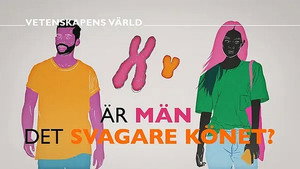 Vetenskapens värld 47. évad Ep.7 7. epizód