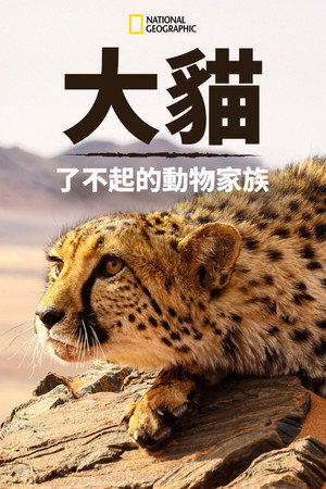 Big Cats: An Amazing Animal Family poszter