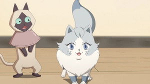 猫先动的手！ kép
