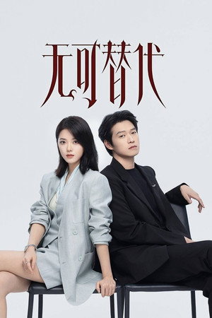 无可替代 poszter