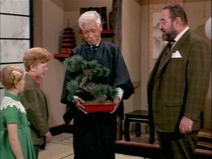 Family Affair 4. évad Ep.17 17. epizód