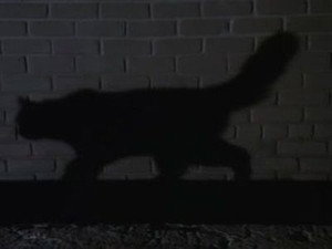 Airwolf 3. évad Ep.22 A paradicsom madarai
