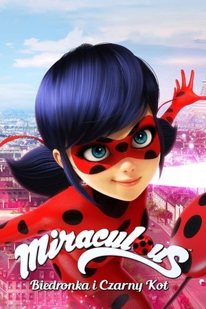 Miraculous Katicabogár és Fekete Macska kalandjai poszter