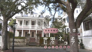 岩合光昭の世界ネコ歩き 1. évad Ep.29 29. epizód