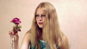 Peyton Place kép