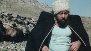 Приключения Петрова и Васечкина kép