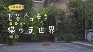 岩合光昭の世界ネコ歩き 1. évad Ep.24 24. epizód
