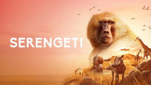 Élet a Serengeti Nemzeti Parkban kép
