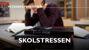 Vetenskapens värld 48. évad Ep.19 19. epizód