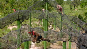 Survivor 18. évad Ep.14 14. epizód