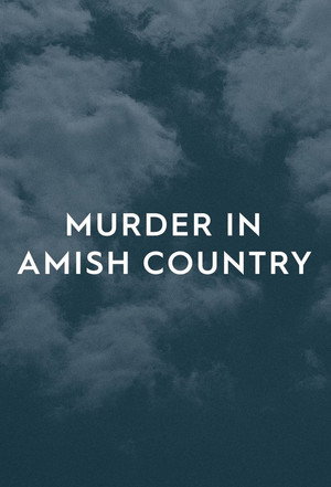 Murder in Amish Country poszter