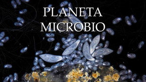 Planeta Microbio kép