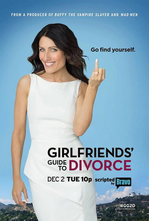 Girlfriends' Guide to Divorce 1. évad (2014-12-02) poszter