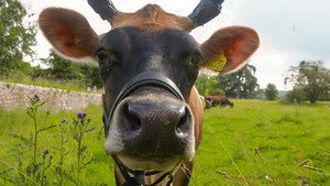 Countryfile 34. évad Ep.30 30. epizód