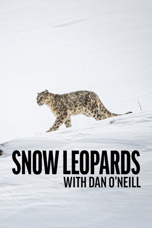 Hópárducok Dan O'Neill-lel