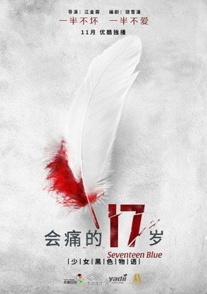 会痛的17岁