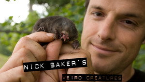 Nick Baker bizarr teremtményei kép