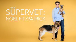The Supervet: Noel Fitzpatrick kép