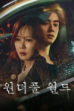 원더풀 월드 poszter