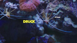 DRUCK kép