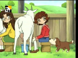 とっとこハム太郎 1. évad Ep.70 70. epizód