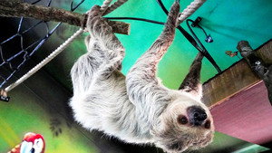 Animal Park 20. évad Ep.15 15. epizód