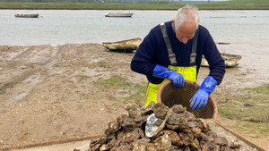 Norfolk & Suffolk: Coast & Country 1. évad Ep.5 5. epizód