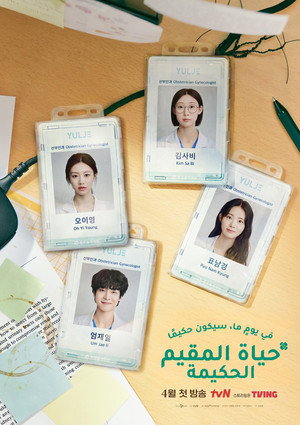 언젠가는 슬기로울 전공의생활 poszter