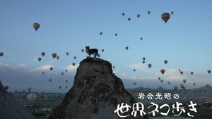 岩合光昭の世界ネコ歩き 1. évad Ep.149 149. epizód