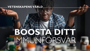 Vetenskapens värld 47. évad Ep.21 21. epizód