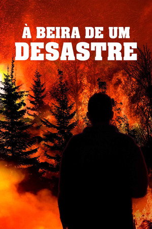 Witness to Disaster poszter