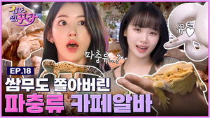겁도 없꾸라 1. évad Ep.18 18. epizód