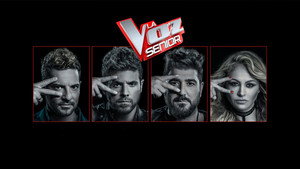 La voz sénior kép