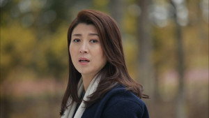 继父回家 kép