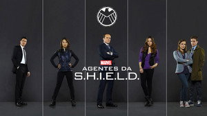A S.H.I.E.L.D. ügynökei kép