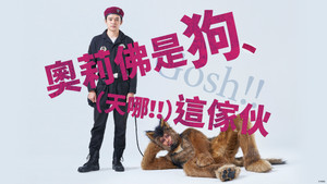 オリバーな犬、(Gosh!!) このヤロウ kép