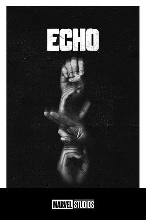 Echo poszter