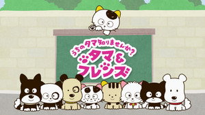タマ&フレンズ うちのタマ知りませんか? kép