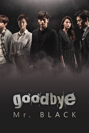 굿바이 미스터 블랙 poszter