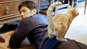 ブランケット・キャッツ 1. évad Ep.6 6. epizód