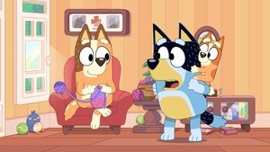 Bluey rövidfilmek 1. évad Ep.16 Hová tűnt Bingó
