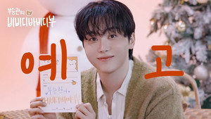 부승관의 비비디바비디부 kép