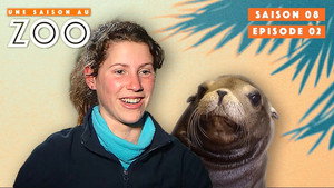 Une saison au zoo 8. évad Ep.2 2. epizód