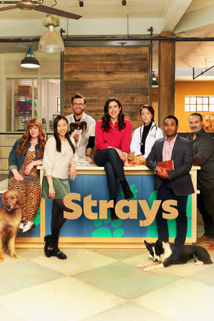Strays 1. évad (2021-09-14) poszter