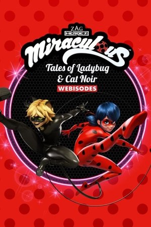 Miraculous : Les secrets poszter