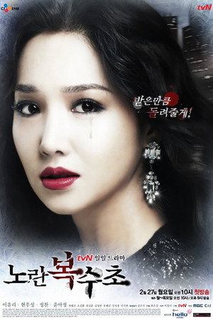 노란 복수초 poszter