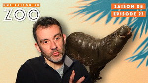 Une saison au zoo 8. évad Ep.23 23. epizód